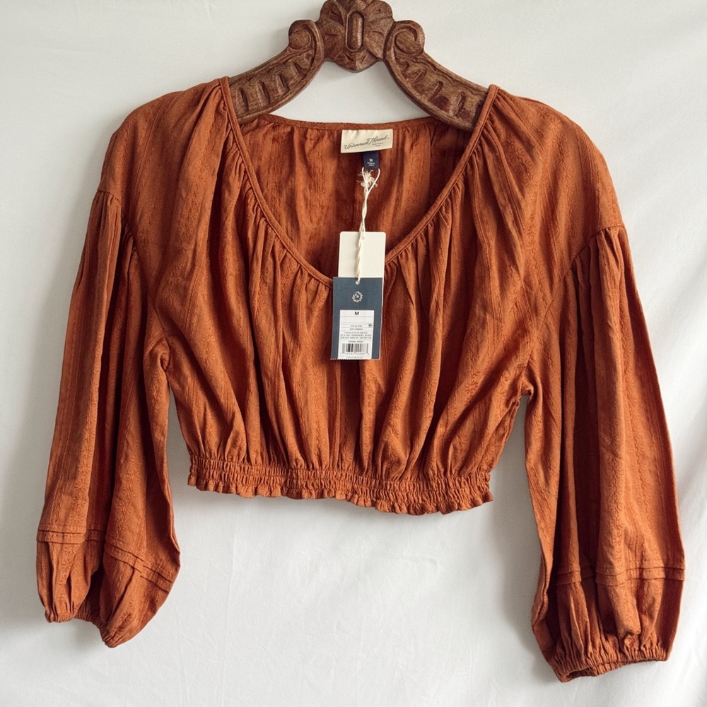Universal Thread Terracotta Crop Top